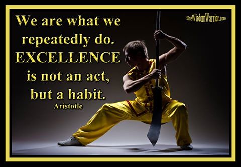 Excellence in Martial Arts - Bohdi Sanders