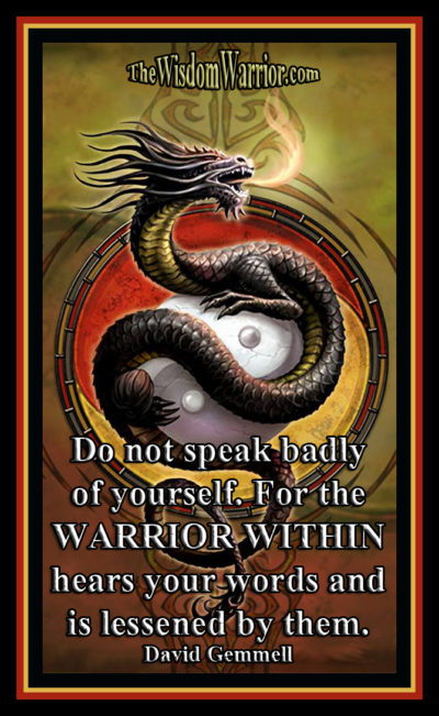 Yin Yang Dragon -The Warrior Bohdi Sanders