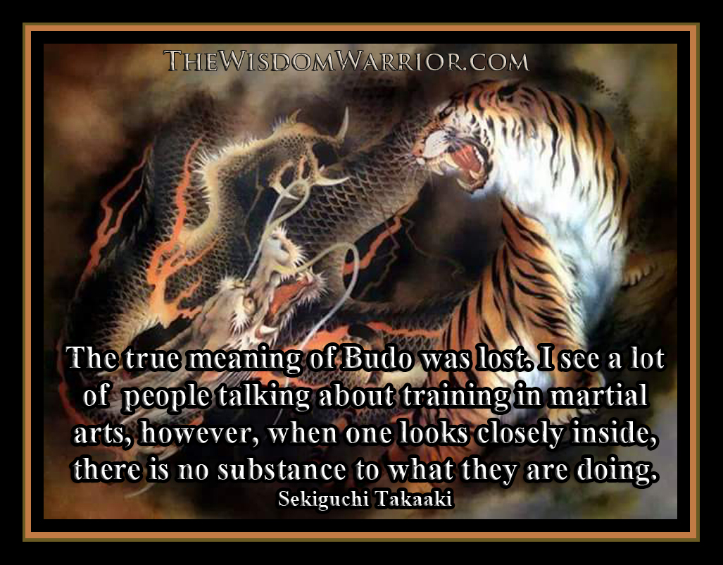 Martial arts dragon and tiger - Bohdi Sanders