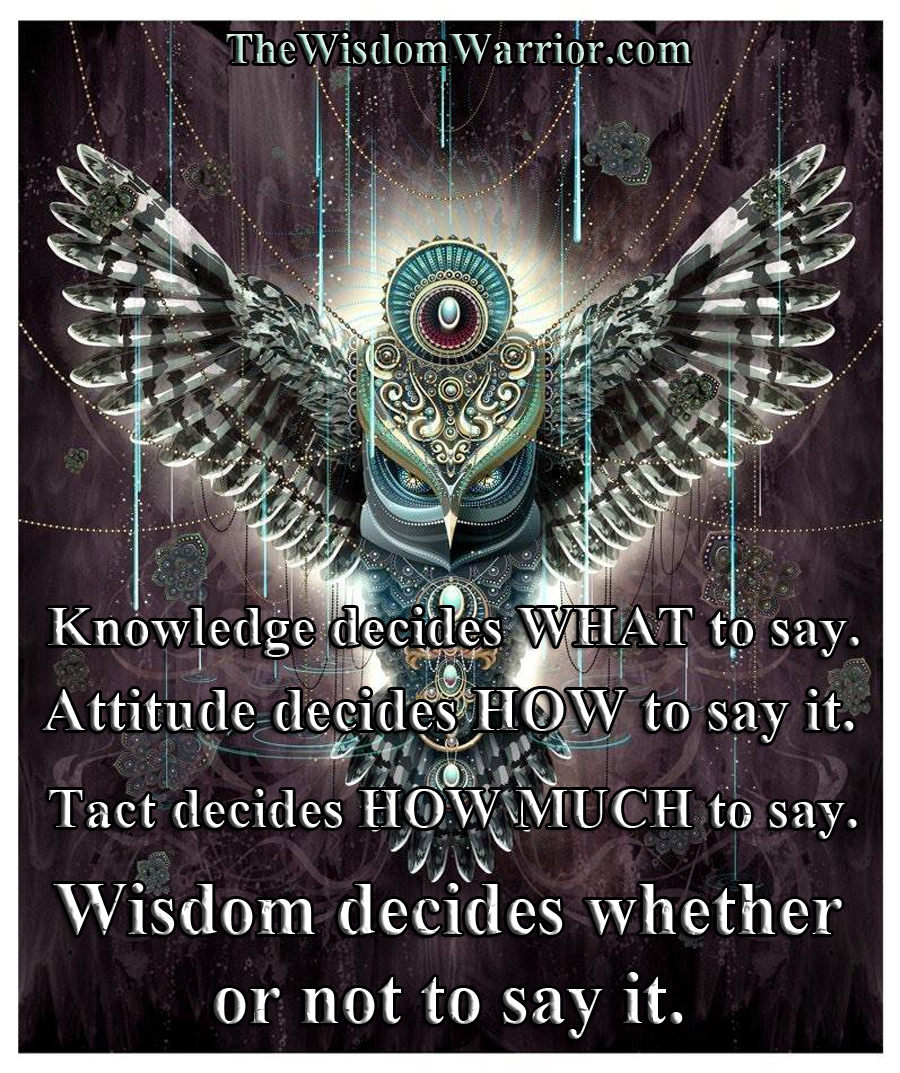 Wisdom Owl - Bohdi Sanders