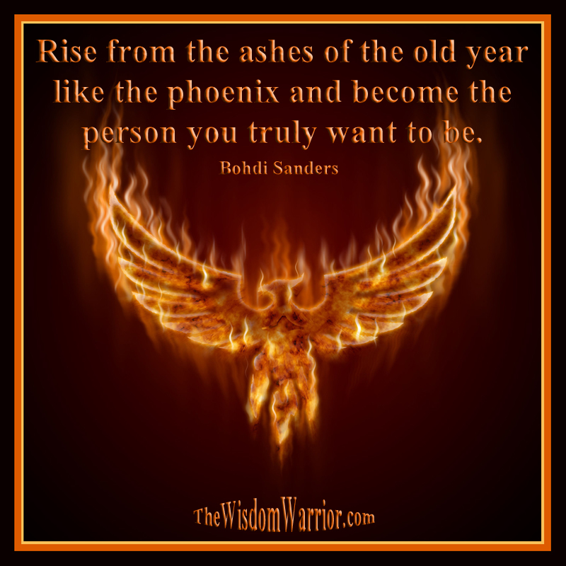 Rise from the ashes of the old year - Bohdi Sanders