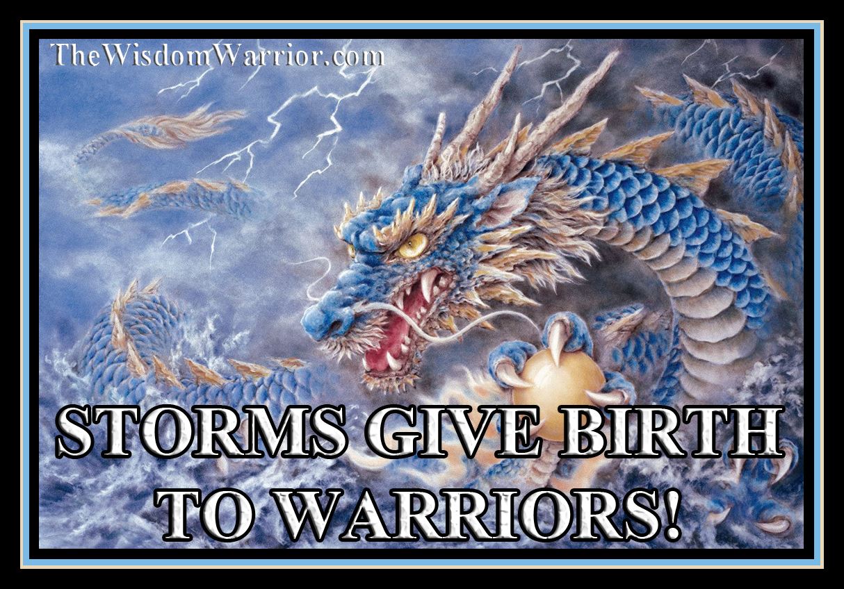 Storms give birth to Warriors - Bohdi Sanders