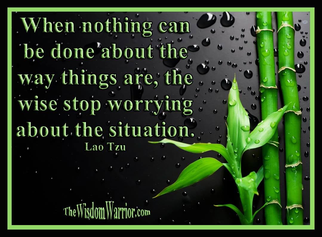 Lao Tzu Wisdom and Bamboo